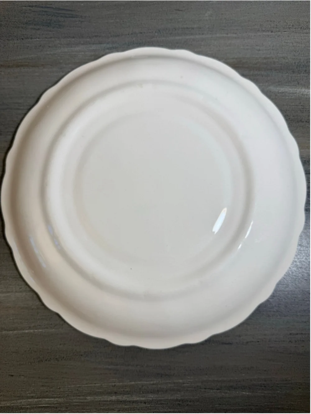 Rare Vintage Canonsburg Wild Clover 9-Inch Scalloped Deviled Egg Platter MCM